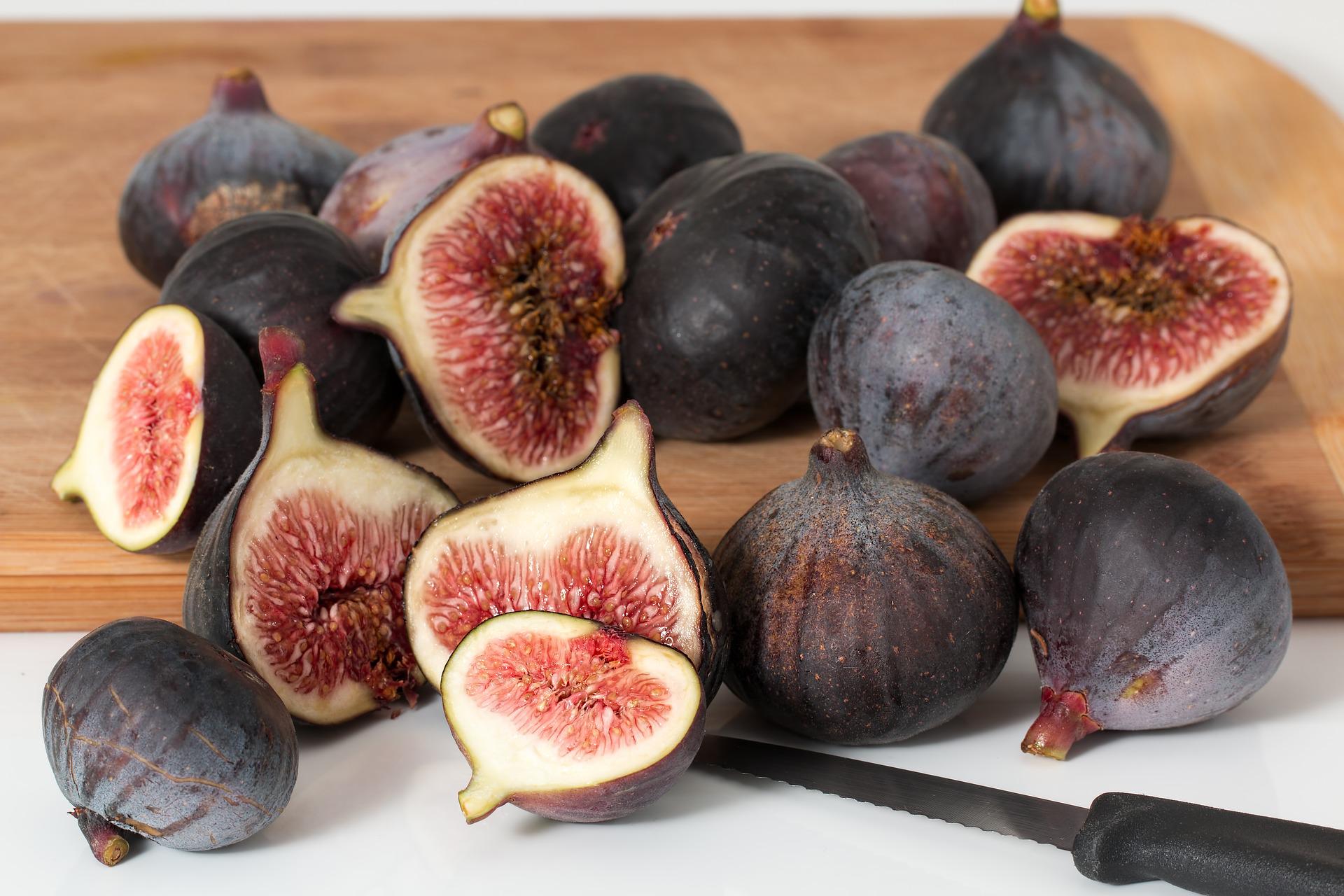 figs-2079166_1920