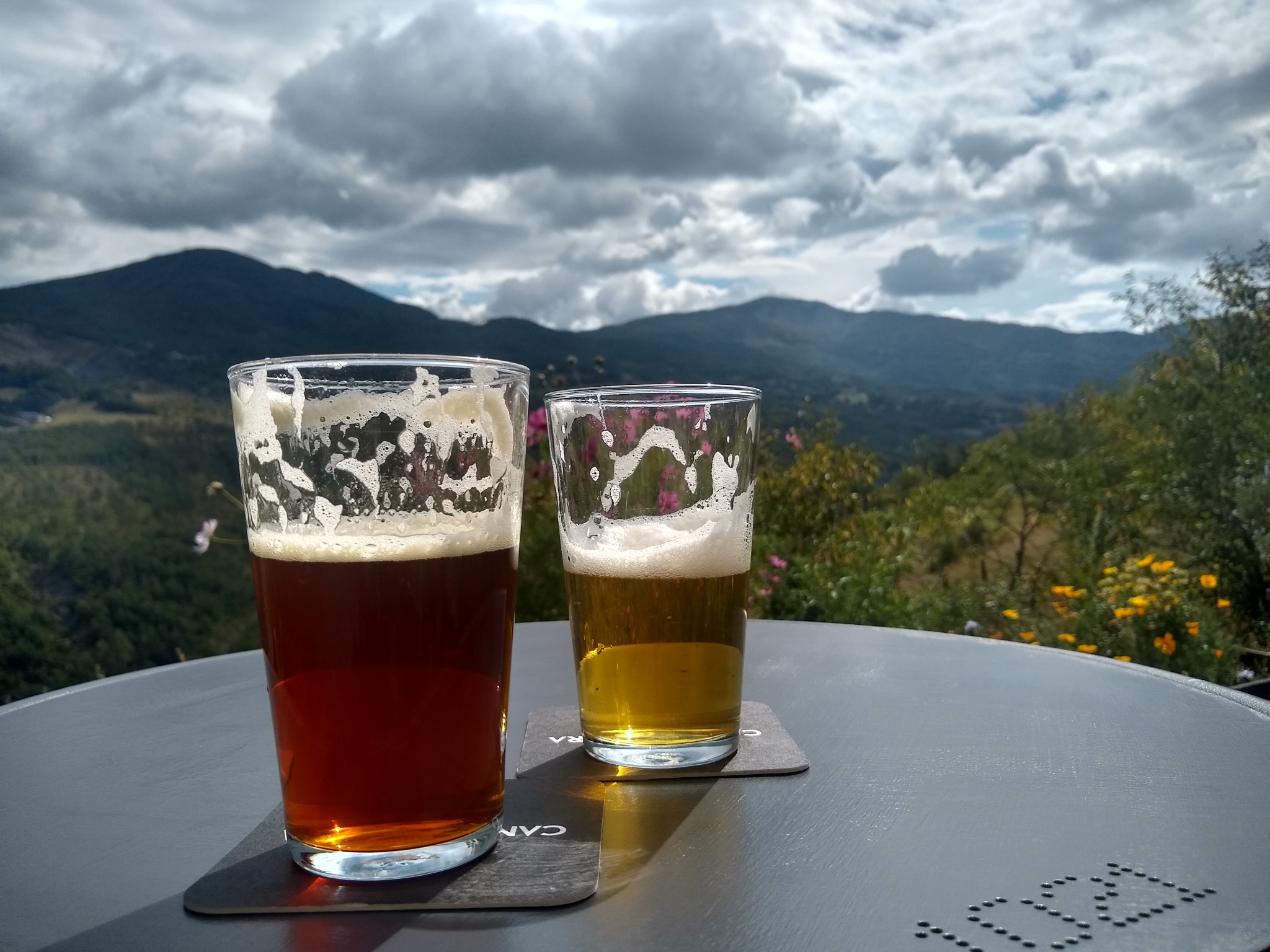 242350240_1536625233336568_182174730553650571_n