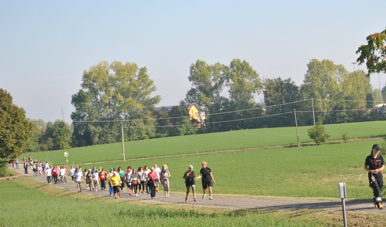 Camminata attività motoria