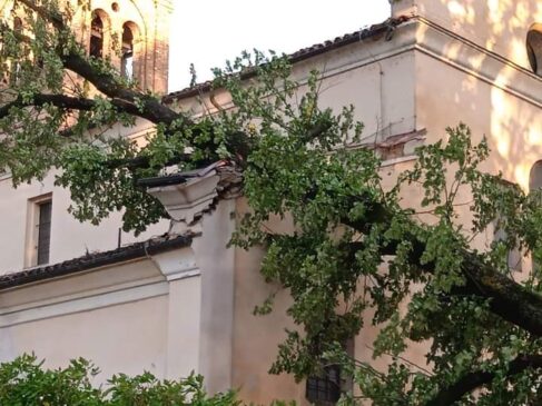 FB_IMG_1657089052712