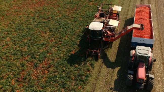 Rodolfi-Mansueto_Foto