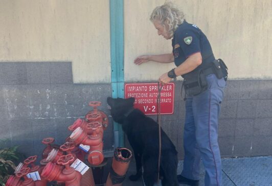 WhatsApp Image 2022-07-22 at 09.53.36