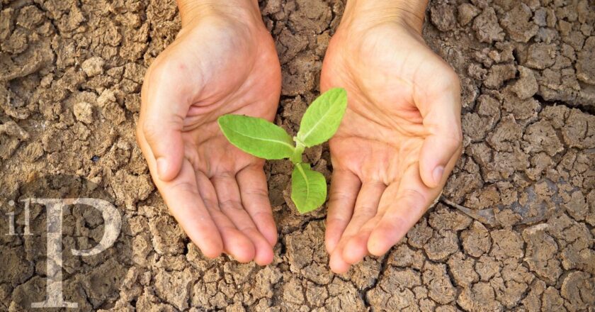 photo_2022-07-20_15-36-09