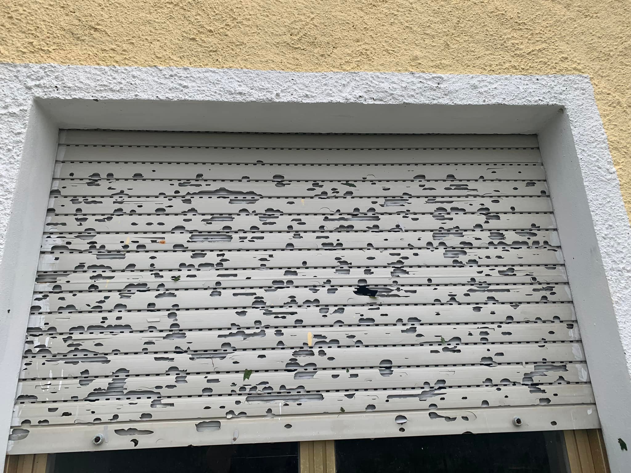 299198089_369132088726679_6839689557464904322_n