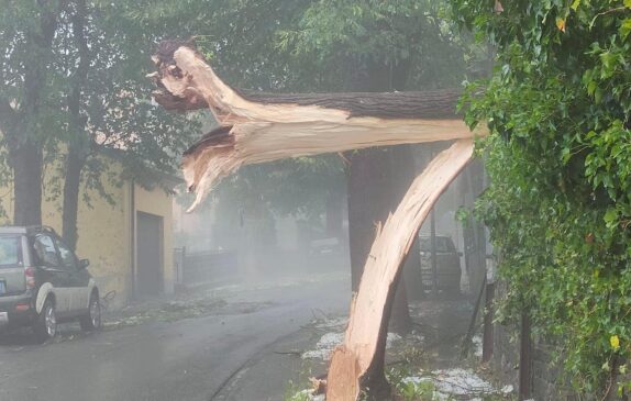 299781244_5272397939481436_8680697565946739888_n