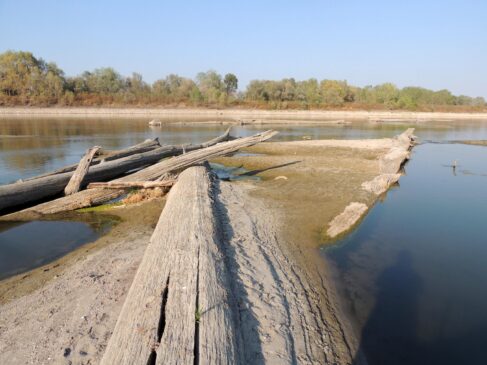 Che cos'è l'ecoansia, il disagio per i cambiamenti climatici comune fra i giovani