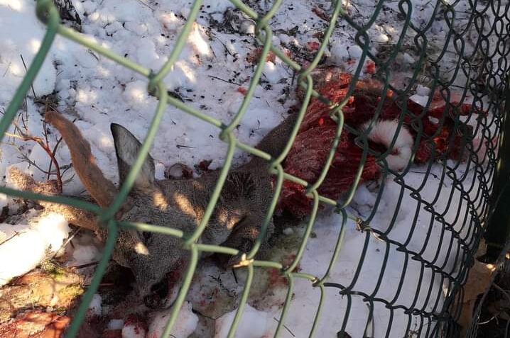 FB_IMG_1675065576622