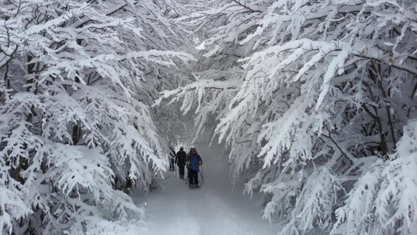 Neve Natura Parco Appennino scuole 2023 (3)