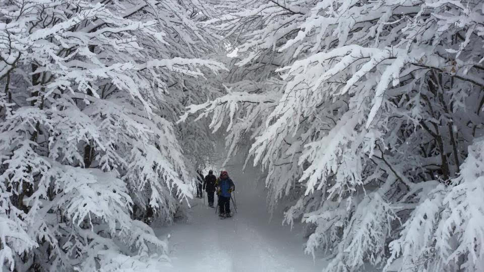 Neve Natura Parco Appennino scuole 2023 (3)