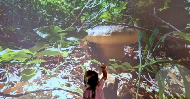 𝐁𝐨𝐫𝐠𝐨𝐭𝐚𝐫𝐨: l'apertura ufficiale del Museo del Fungo Porcino