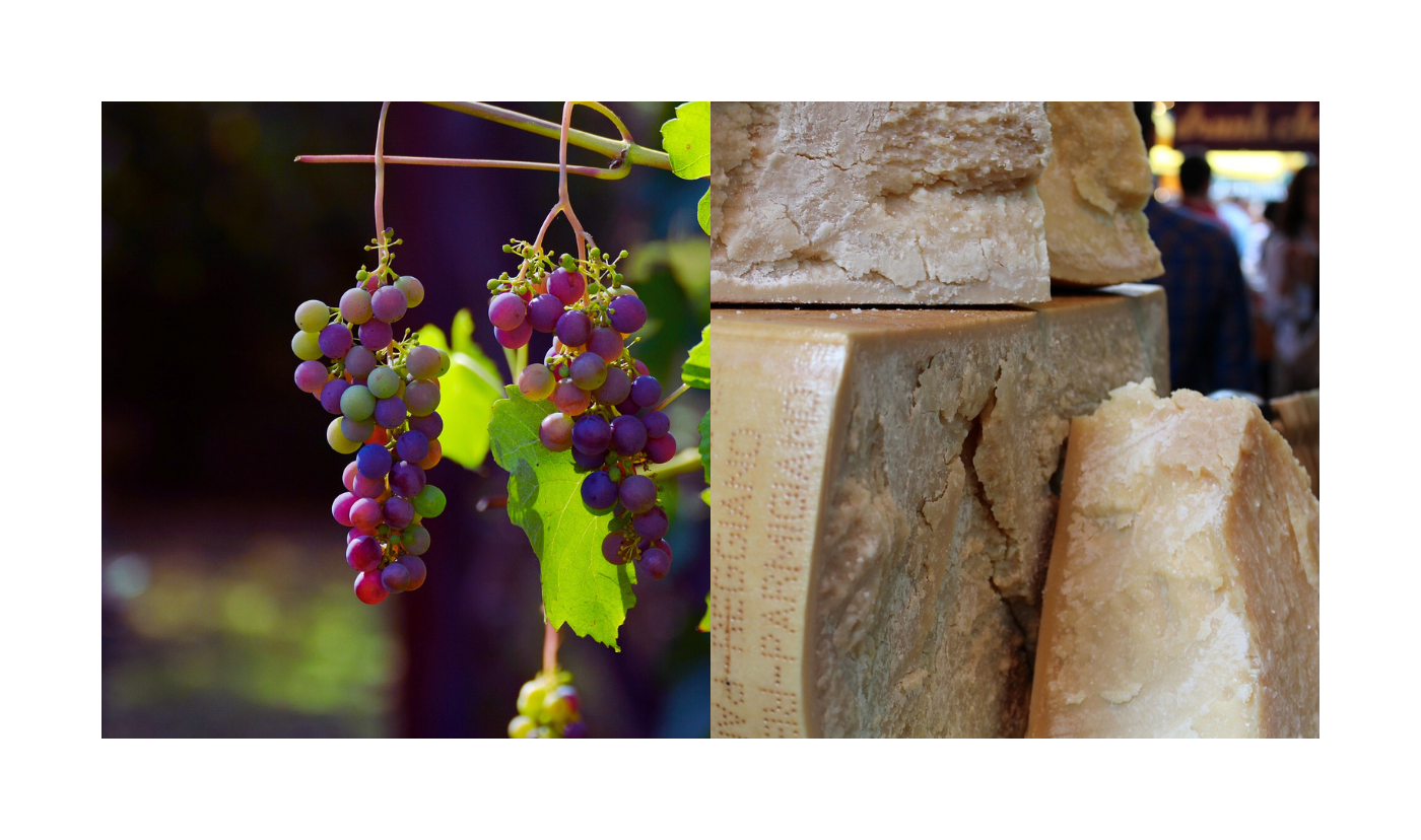 Vinitaly 2023: presente una grande delegazione delle cantine di Parma