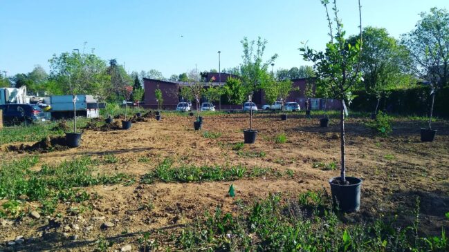 FruttetodellaMemoriaMonticelliTerme