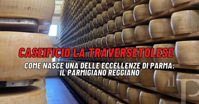 Grande vanto di Parma è il suo prezioso Parmigiano Reggiano: andiamo a scoprire una realtà che lo produce a regola d'arte