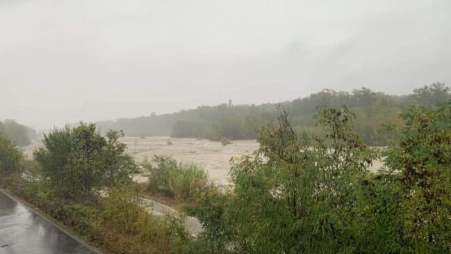 394765926_727306439424424_3154492017545118123_n