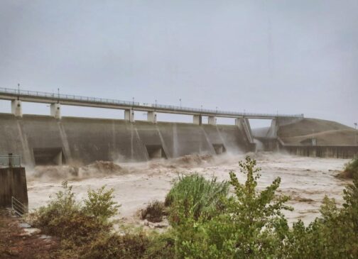 Foto cassa Parma 24_10_23_2