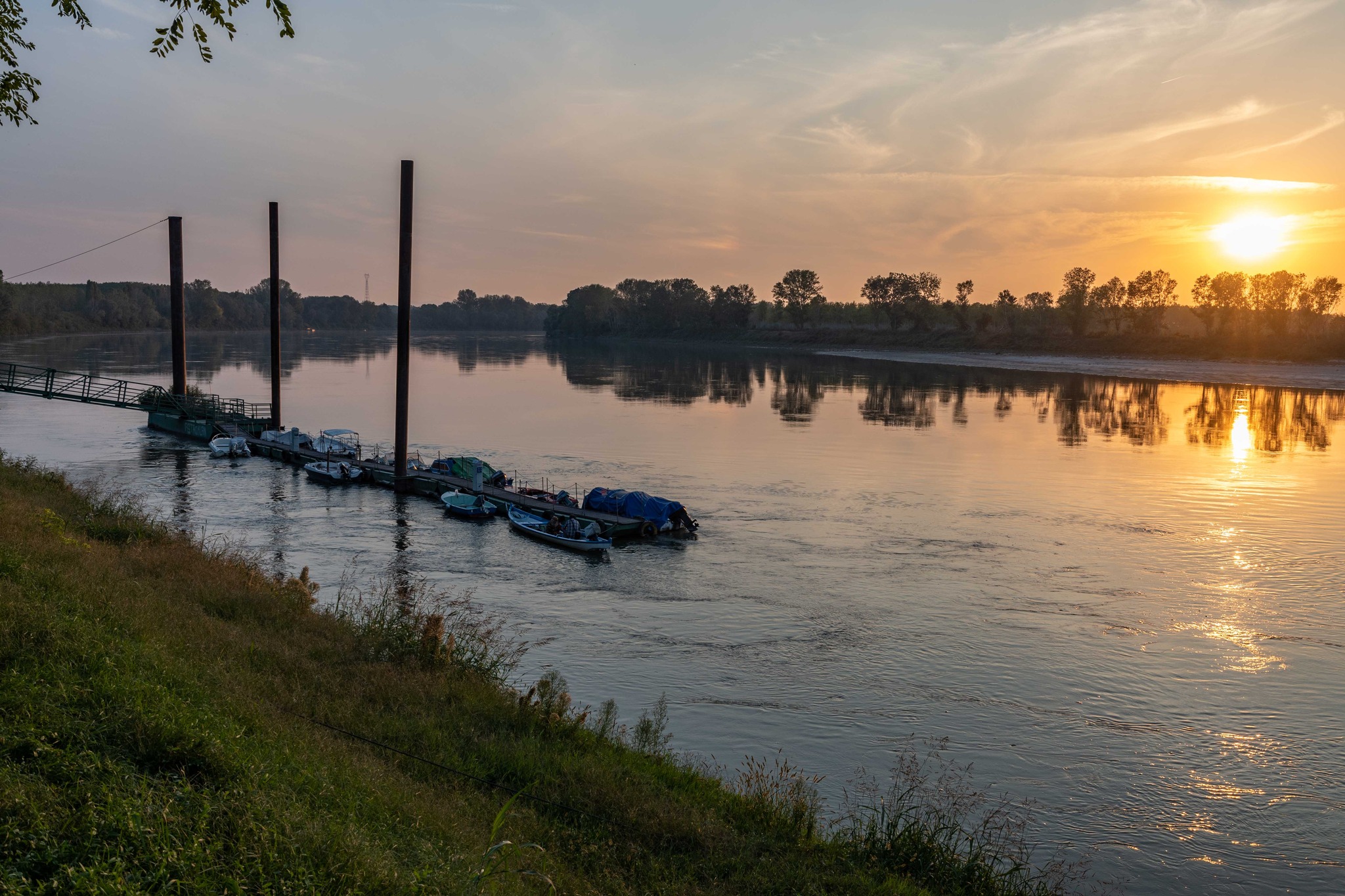 Foto_-_Ottobrata_Guastalla_-_William Lugli