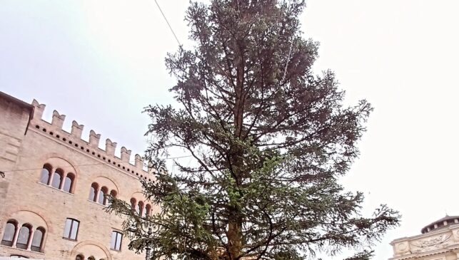 407766241_765692538911774_190534052557723649_n