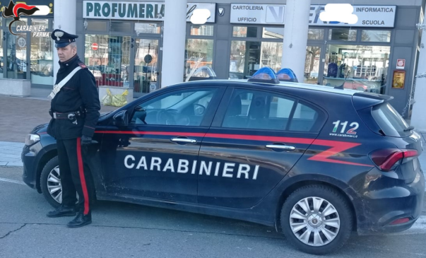 11.01.2024 Felinofurto profumeria