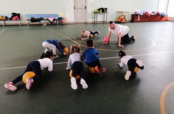 Foto attività Bobcats