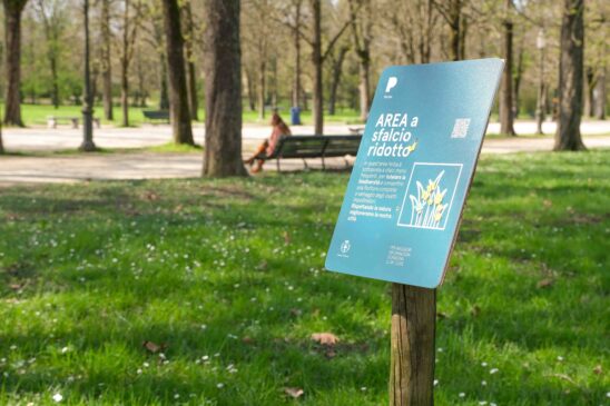 2025.03.28 Sfalcio ridotto-3