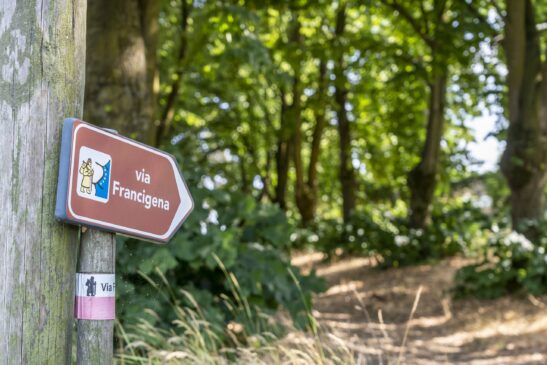 Via Francigena nei dintorni di Fidenza - Credit Lorenzo Moreni